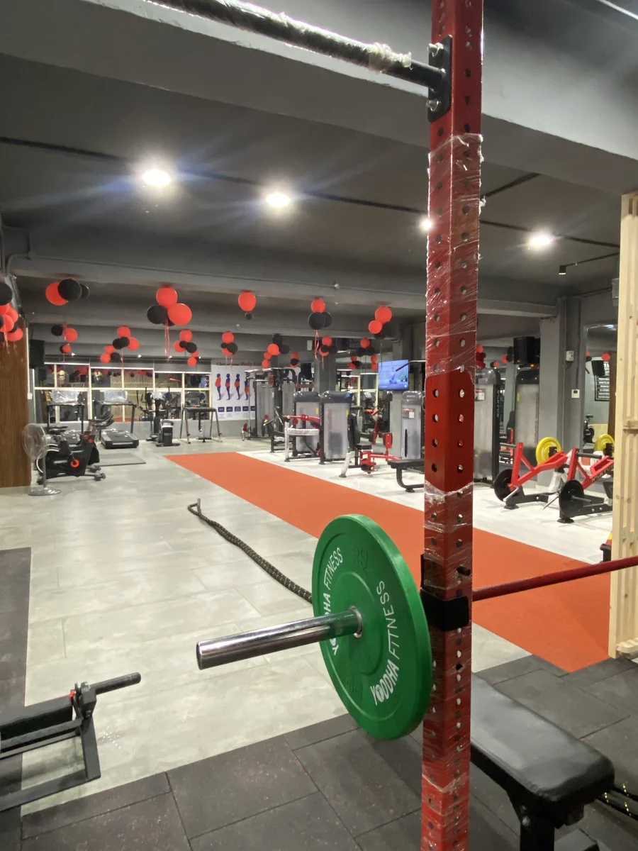 Olympic Free Weights & Heavy Dumbbell Zone